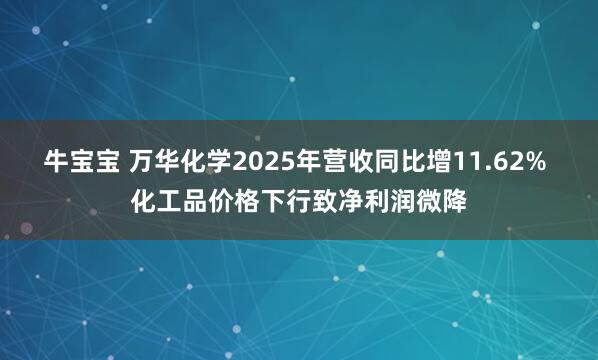 牛宝宝 万华化学2025年营收同比增11.62% 化工品价格下行致净利润微降