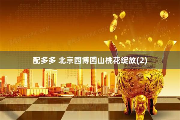 配多多 北京园博园山桃花绽放(2)