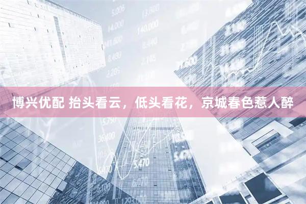 博兴优配 抬头看云，低头看花，京城春色惹人醉