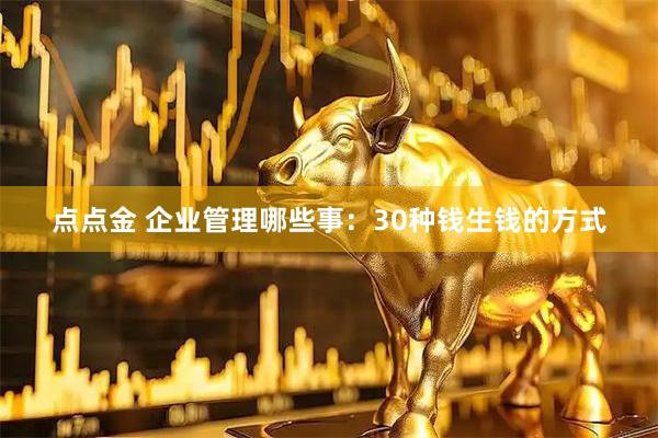 点点金 企业管理哪些事：30种钱生钱的方式