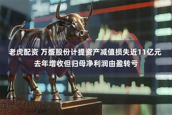 老虎配资 万盛股份计提资产减值损失近11亿元 去年增收但归母净利润由盈转亏