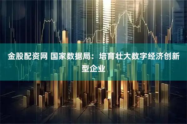 金股配资网 国家数据局：培育壮大数字经济创新型企业