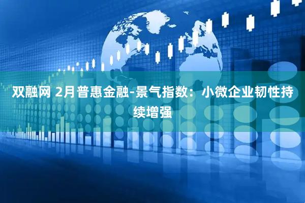 双融网 2月普惠金融-景气指数：小微企业韧性持续增强