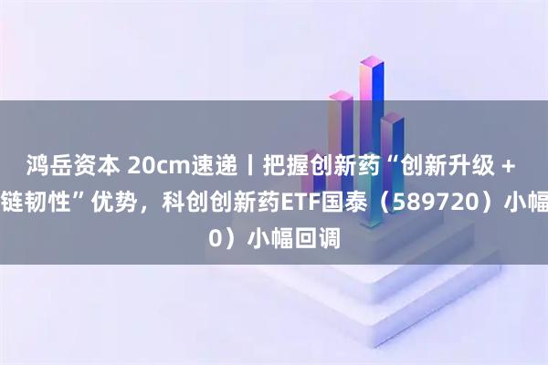 鸿岳资本 20cm速递丨把握创新药“创新升级 + 供应链韧性”优势，科创创新药ETF国泰（589720）小幅回调