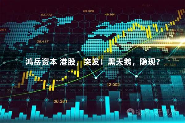 鸿岳资本 港股，突发！黑天鹅，隐现？