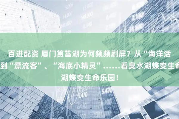 百进配资 厦门筼筜湖为何频频刷屏？从“海洋活化石”到“漂流客”、“海底小精灵”……看臭水湖蝶变生命乐园！
