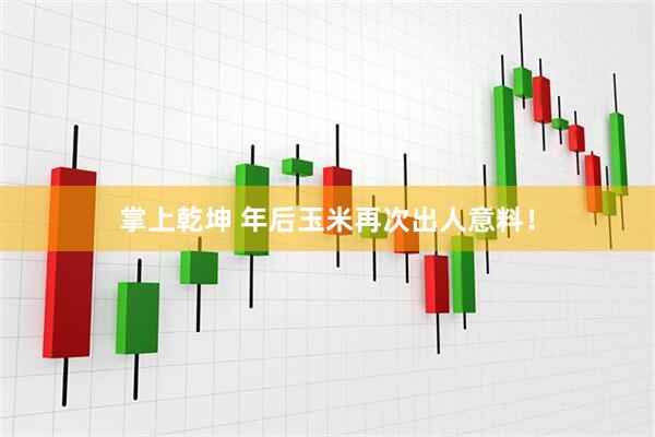 掌上乾坤 年后玉米再次出人意料!