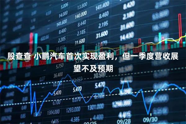 股查查 小鹏汽车首次实现盈利，但一季度营收展望不及预期