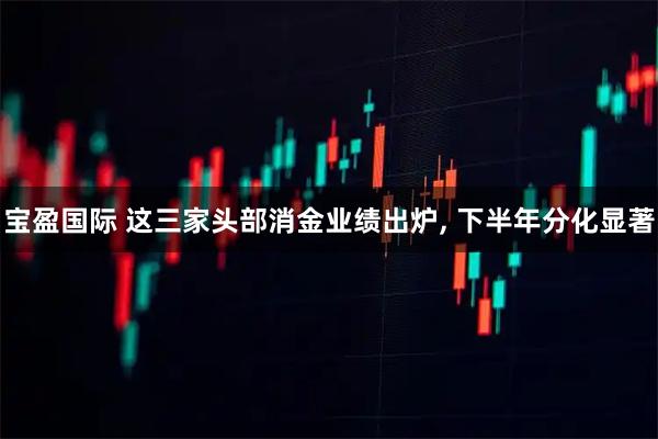 宝盈国际 这三家头部消金业绩出炉, 下半年分化显著