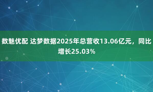 数魅优配 达梦数据2025年总营收13.06亿元，同比增长25.03%