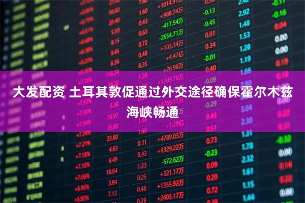 大发配资 土耳其敦促通过外交途径确保霍尔木兹海峡畅通