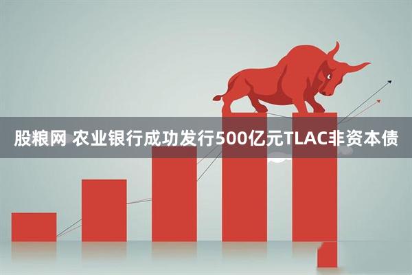 股粮网 农业银行成功发行500亿元TLAC非资本债