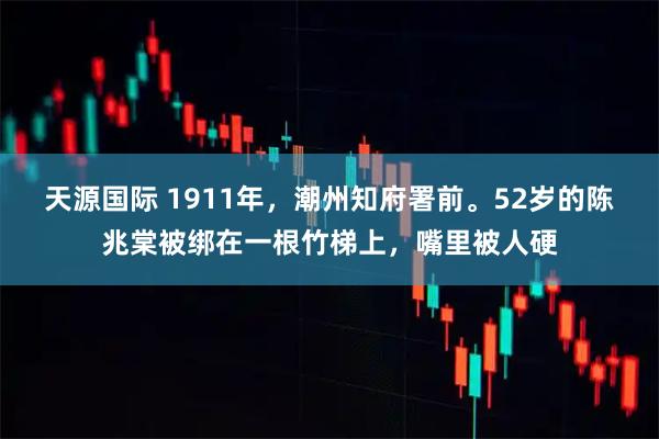 天源国际 1911年，潮州知府署前。52岁的陈兆棠被绑在一根竹梯上，嘴里被人硬