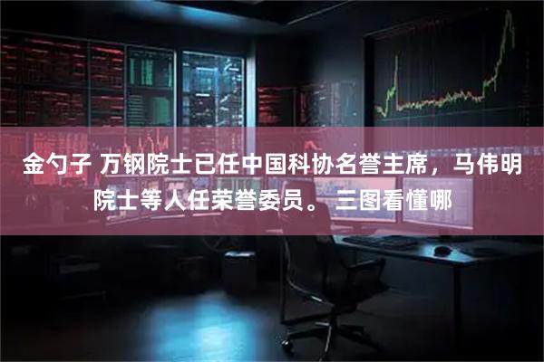 金勺子 万钢院士已任中国科协名誉主席，马伟明院士等人任荣誉委员。 三图看懂哪