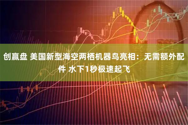 创赢盘 美国新型海空两栖机器鸟亮相：无需额外配件 水下1秒极速起飞