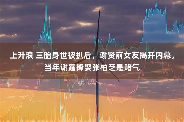 上升浪 三胎身世被扒后，谢贤前女友揭开内幕，当年谢霆锋娶张柏芝是赌气